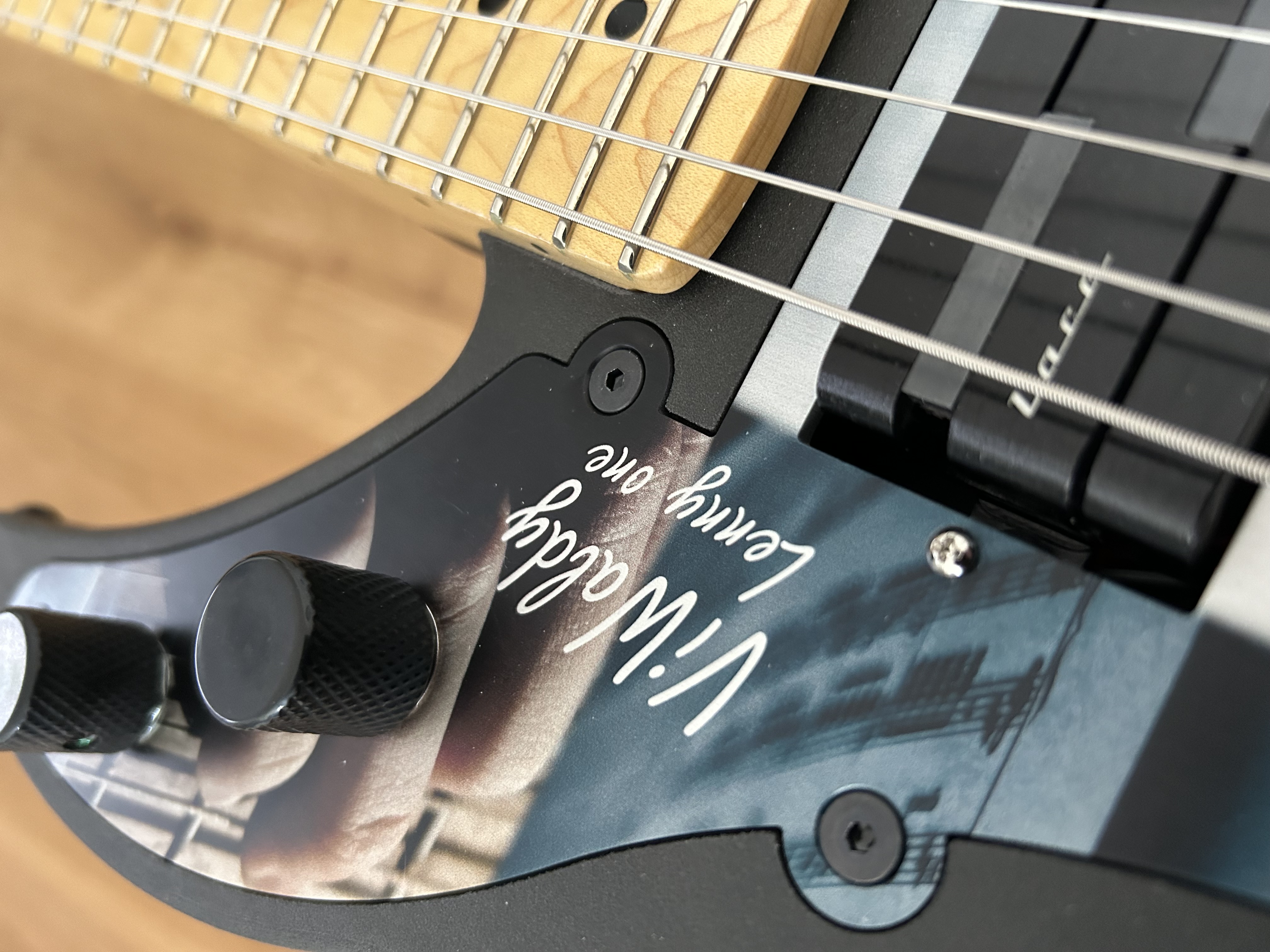 ViWaldy guitar manufacture